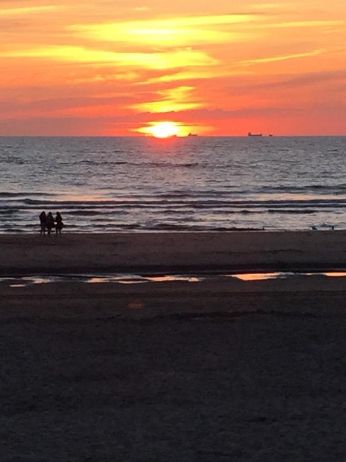 Cottage 44 - Free Parking! Zandvoort Ngoại thất bức ảnh