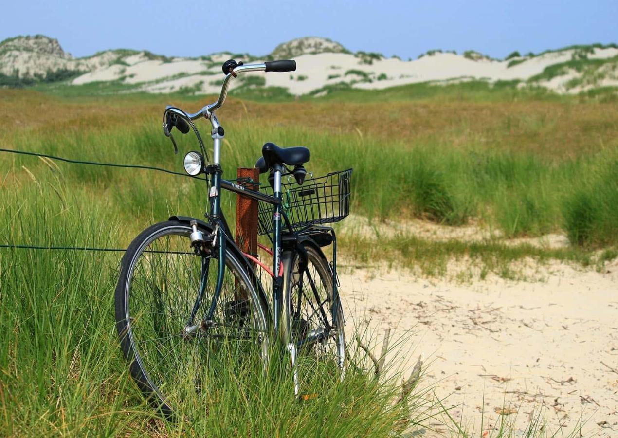 Cottage 44 - Free Parking! Zandvoort Ngoại thất bức ảnh